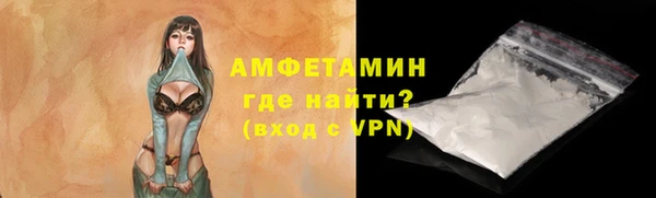 скорость Вяземский
