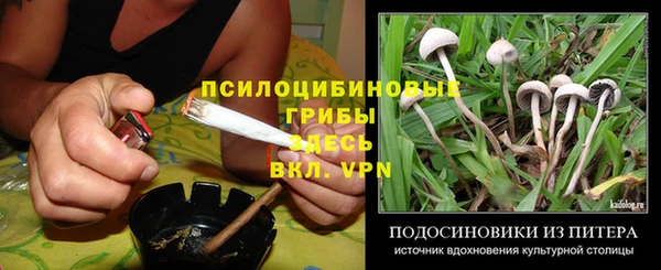 скорость Вяземский