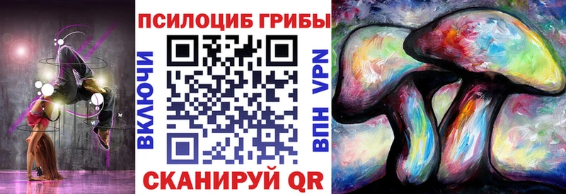 Галлюциногенные грибы GOLDEN TEACHER  наркотики  Кадников 